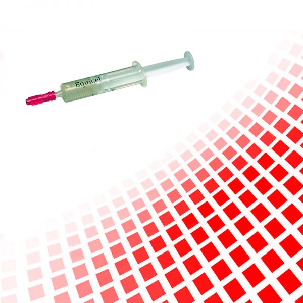 Equicel Gel